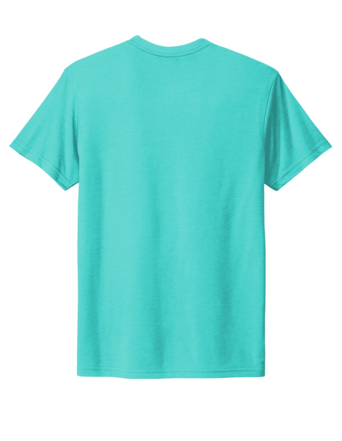 Teal T-Shirt (Logo)